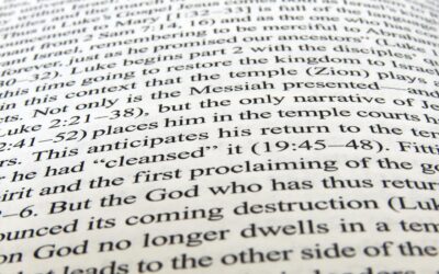 No Lock-In Contracts: How Trust Beats Fine Print Every Time